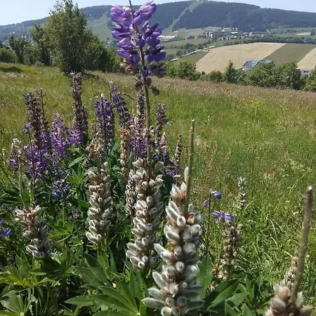 Casa de Férias Měděnecká
